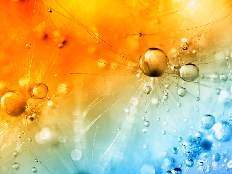 wallpaperflare.com_wallpaper (7)